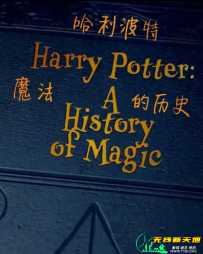 哈利波特：一段魔法史