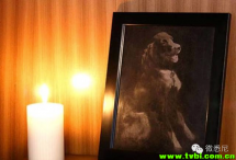 死后火化太out了！为什么不把自己变成这些神器？！ ...