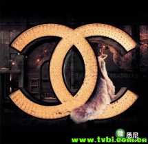 上流社会走起：最新全球排名前十位的奢侈品