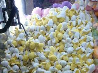 日本已经出了男士胸罩了，无罩杯款。终于帮很多男生圆...