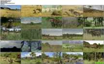 BBC 史前生物三部曲