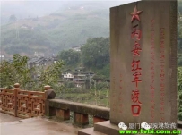 旅游攻略|赤水，红色之乡的生态奢享