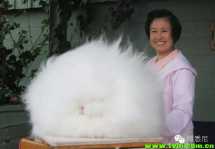 毛绒绒可爱到令你发疯的33只宠物宝贝，赶快到我怀里来！