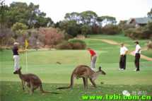 你绝对不知道澳洲还有这些酒店！！隐蔽而又奢华！高大上必看！ ...