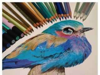 神乎其技的彩铅插画！迫不及待要涂起来了！