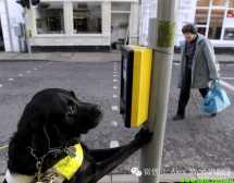 【澳洲生活】土澳留学后遗症~据说发作率很高~