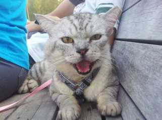 二狗，过来！-狗狗不要这样~逼我犯罪~