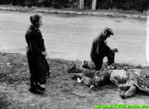 镜头下真实的诺曼底登陆