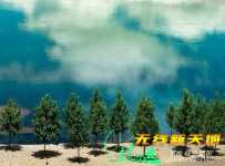 看到这幅景象 ，我居然有点不知所措了…