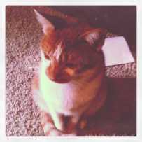 萌萌哒，银家萌萌哒有木有？-与伱相扶到老~