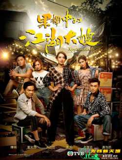 果栏中的江湖大嫂[全30集]